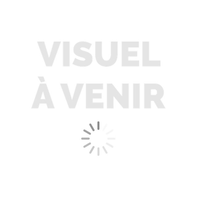 Petit Cendrier 