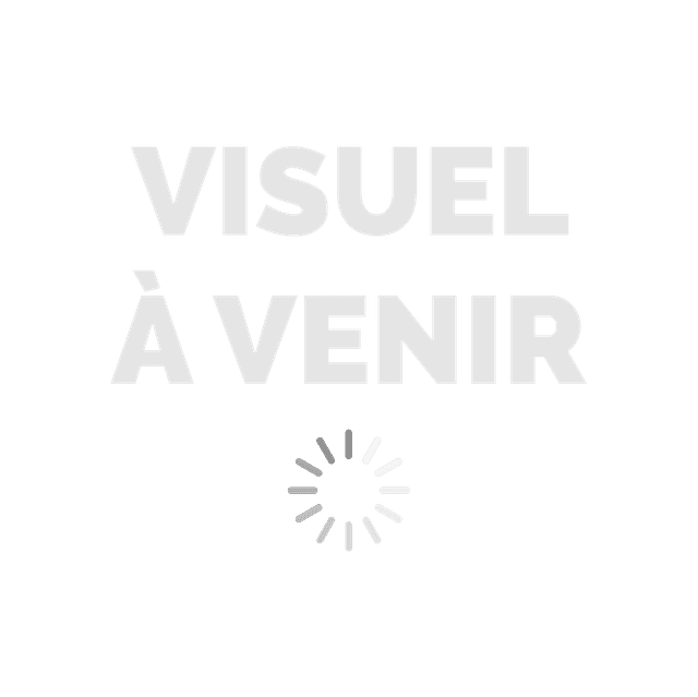 Petit Cendrier 